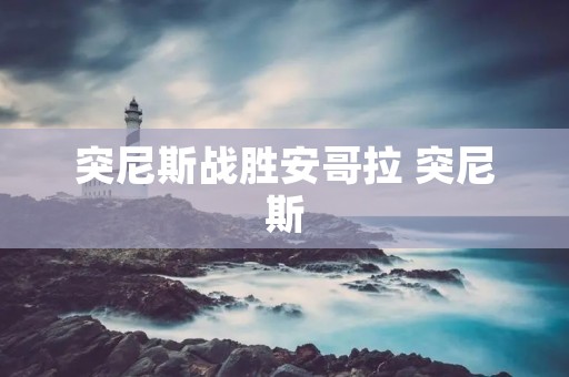 突尼斯战胜安哥拉 突尼斯