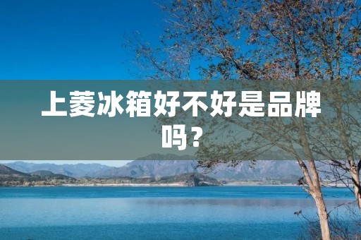 上菱冰箱好不好是品牌吗？