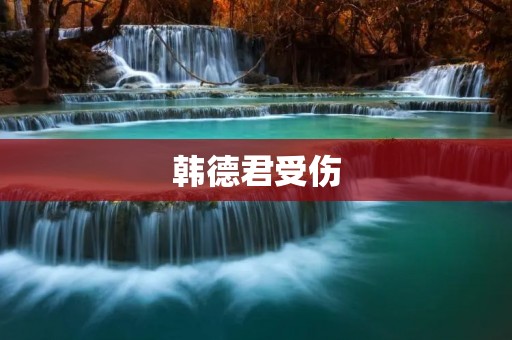 韩德君受伤：揭开篮球场上的伤痛与坚韧