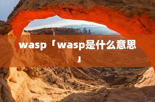 wasp「wasp是什么意思」