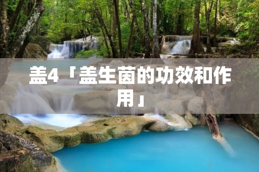 盖4「盖生茵的功效和作用」