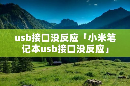 u**接口没反应「小米笔记本u**接口没反应」 u**接口没反应「小米笔记本u**接口没反应」