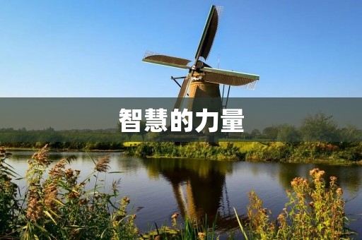 智慧的力量:探索人类智力的奥秘 智慧的力量:探索人类智力的奥秘