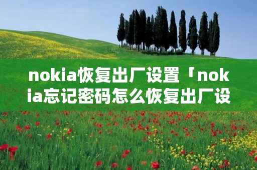 nokia恢复出厂设置「nokia忘记密码怎么恢复出厂设置」