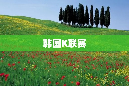 韩国K联赛：亚洲足坛的新贵