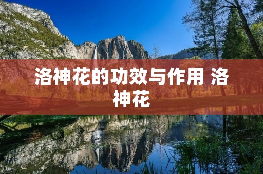 洛神花的功效与作用 洛神花