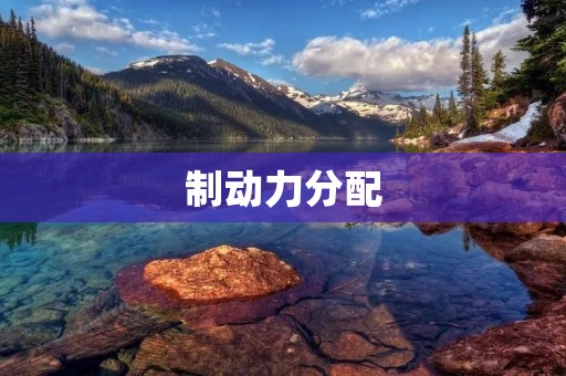 制动力分配:提升行车安全的关键技术 制动力分配:提升行车安全的关键技术