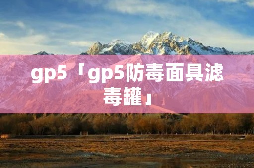 gp5「gp5防毒面具滤毒罐」