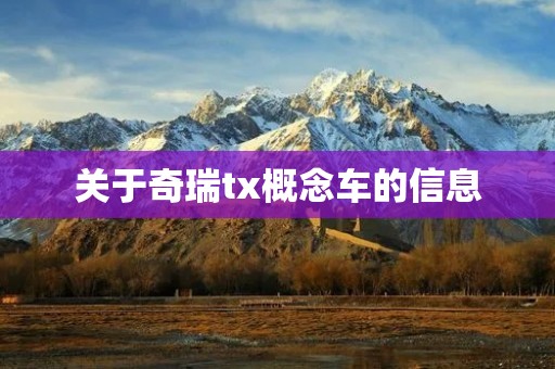关于奇瑞tx概念车的信息 关于奇瑞tx概念车的信息
