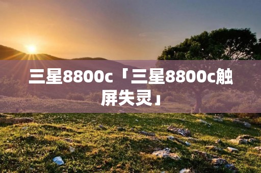 三星8800c「三星8800c触屏失灵」 三星8800c「三星8800c触屏失灵」