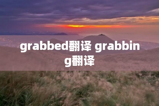 grabbed翻译 grabbing翻译
