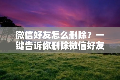 微信好友怎么删除？一键告诉你删除微信好友的方法！