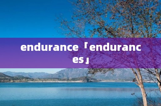 endurance「endurances」 endurance「endurances」