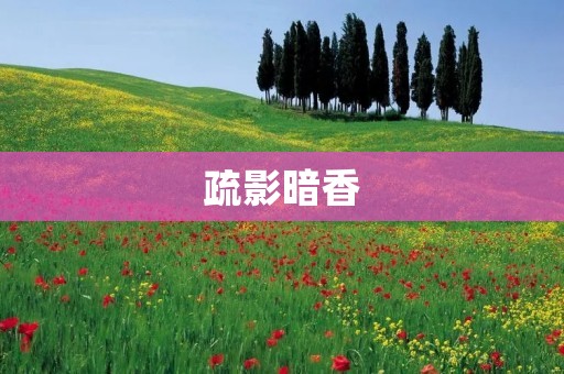 疏影暗香：探寻古人的诗意世界