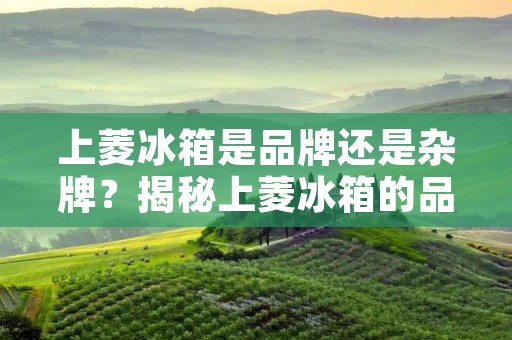 上菱冰箱是品牌还是杂牌？揭秘上菱冰箱的品牌背后的真相
