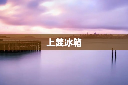 上菱冰箱:上海生产的高品质之选 上菱冰箱:上海生产的高品质之选