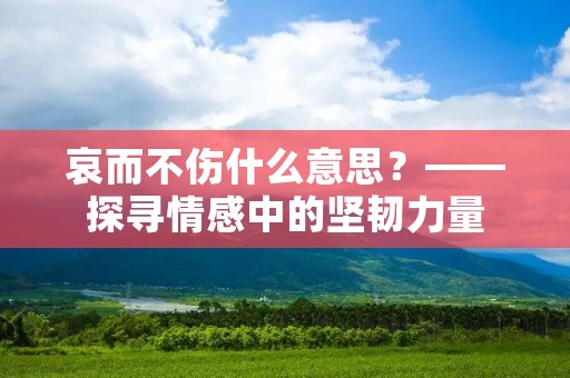 哀而不伤什么意思?——探寻情感中的坚韧力量