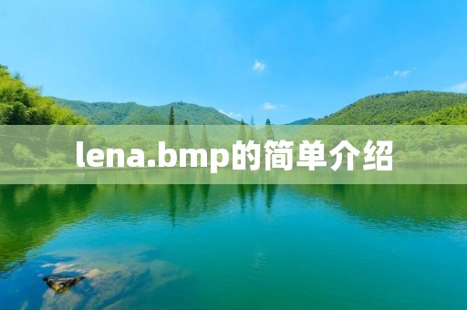 lena.bmp的简单介绍