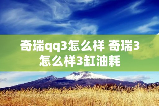 奇瑞qq3怎么样 奇瑞3怎么样3缸油耗