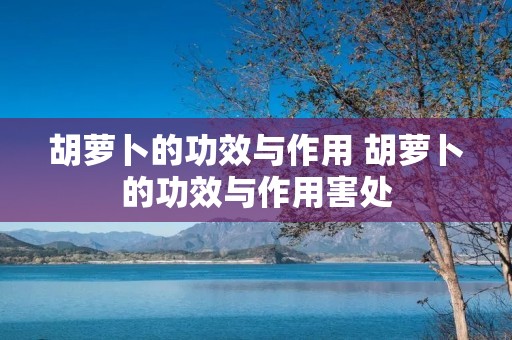 胡萝卜的功效与作用 胡萝卜的功效与作用害处