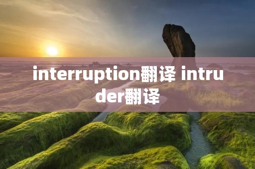 interruption翻译 intruder翻译
