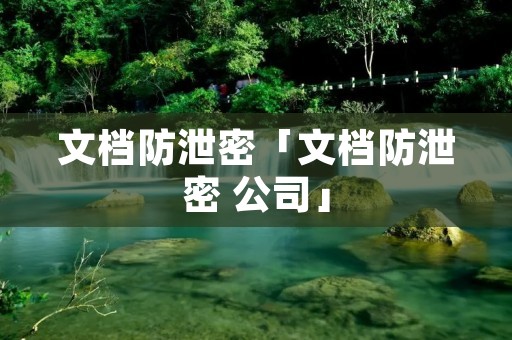 文档防泄密「文档防泄密 公司」 文档防泄密「文档防泄密 公司」