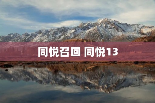 同悦召回 同悦13