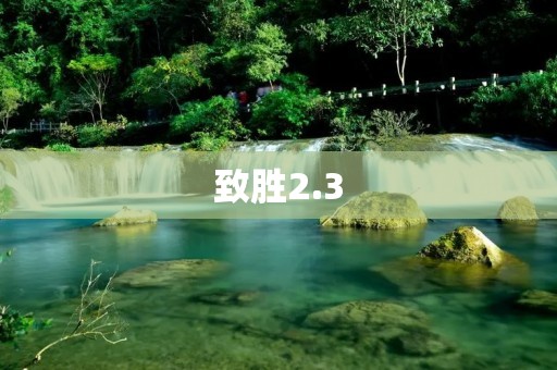 致胜2.3：有效战略的关键