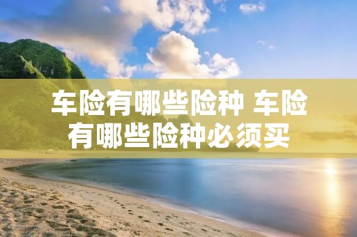车险有哪些险种 车险有哪些险种必须买