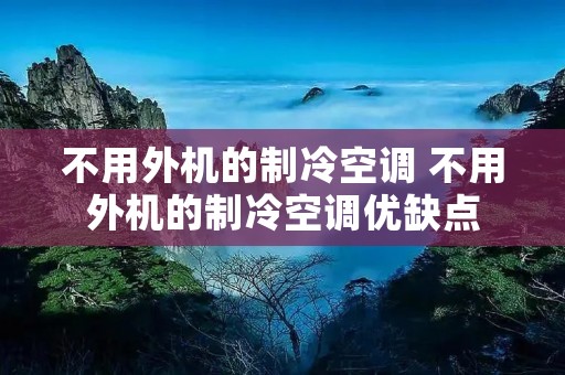 不用外机的制冷空调 不用外机的制冷空调优缺点 不用外机的制冷空调 不用外机的制冷空调优缺点