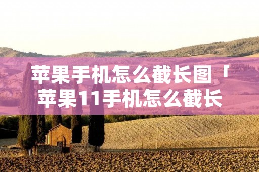 苹果手机怎么截长图「苹果11手机怎么截长图」