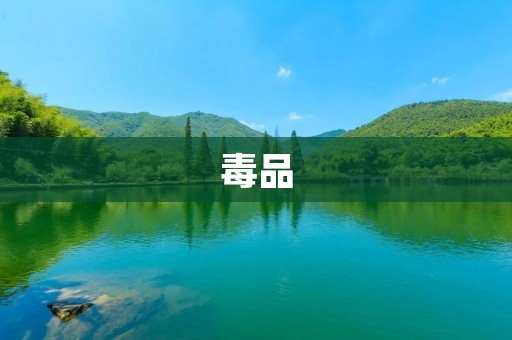 毒品：探索其对个体和社会的影响