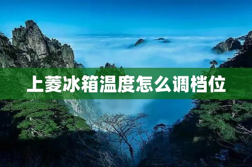 上菱冰箱温度怎么调档位