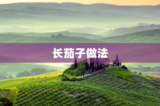 长茄子做法：营养美味的家常菜