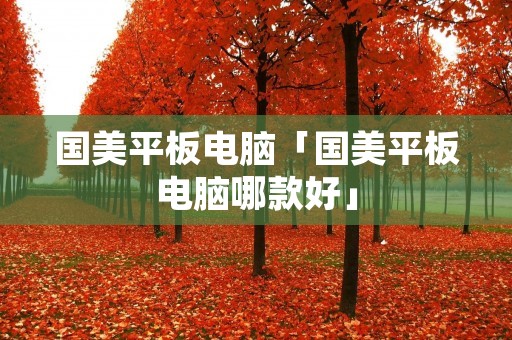国美平板电脑「国美平板电脑哪款好」