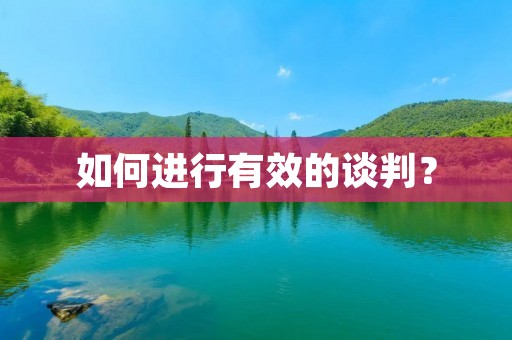 如何进行有效的谈判? 如何进行有效的谈判?