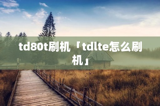 td80t刷机「tdlte怎么刷机」