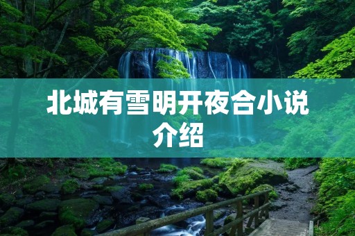 北城有雪明开夜合小说介绍