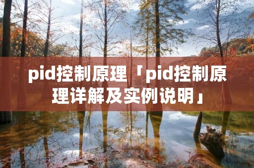 pid控制原理「pid控制原理详解及实例说明」