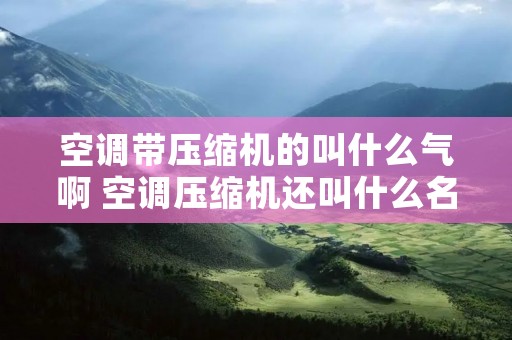 空调带压缩机的叫什么气啊 空调压缩机还叫什么名字 空调带压缩机的叫什么气啊 空调压缩机还叫什么名字