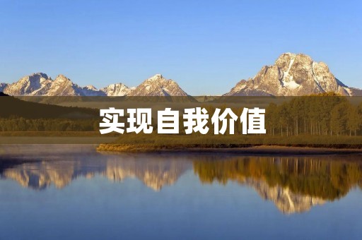实现自我价值：如何通过实现目标来实现自我价值