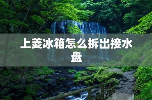 上菱冰箱怎么拆出接水盘 上菱冰箱怎么拆出接水盘