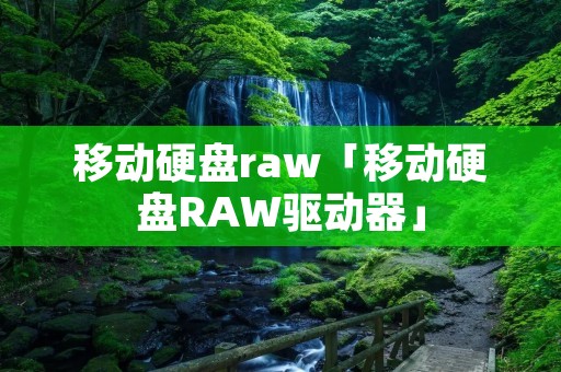 移动硬盘raw「移动硬盘RAW驱动器」