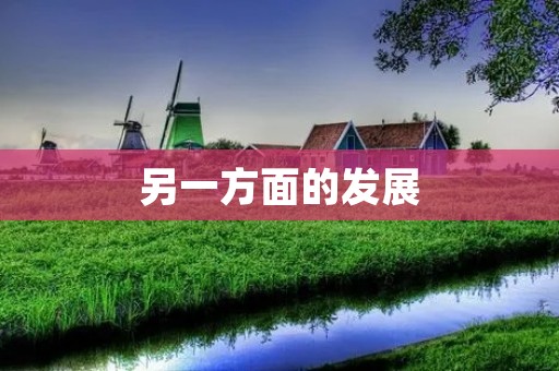 另一方面的发展：探索与平衡