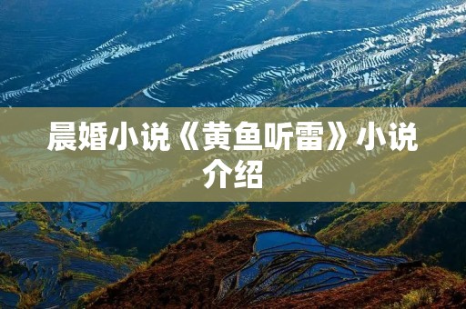 晨婚小说《黄鱼听雷》小说介绍