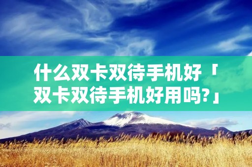 什么双卡双待手机好「双卡双待手机好用吗?」 什么双卡双待手机好「双卡双待手机好用吗?」