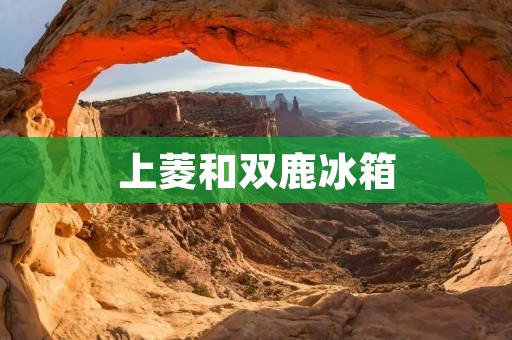 上菱和双鹿冰箱：一家公司的合作之路