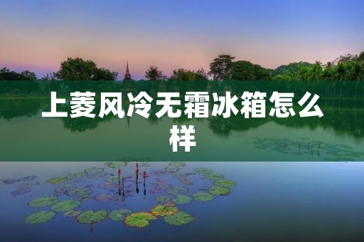 上菱风冷无霜冰箱怎么样