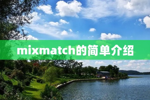 mixmatch的简单介绍