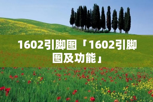 1602引脚图「1602引脚图及功能」